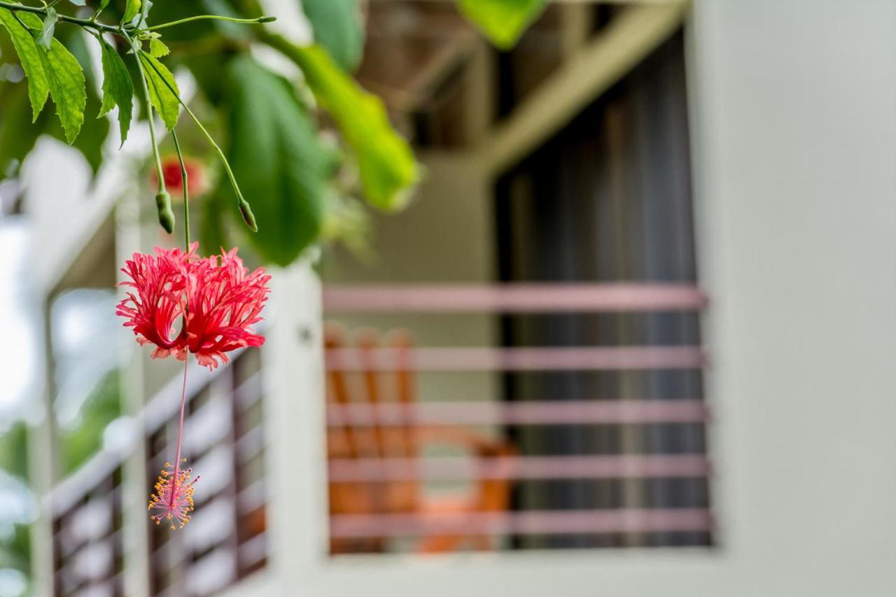 Sea Tower Hotel Puerto Viejo de Talamanca المظهر الخارجي الصورة